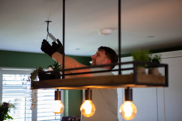 Best Electrician for Home Renovation  in Spring Green, WI
